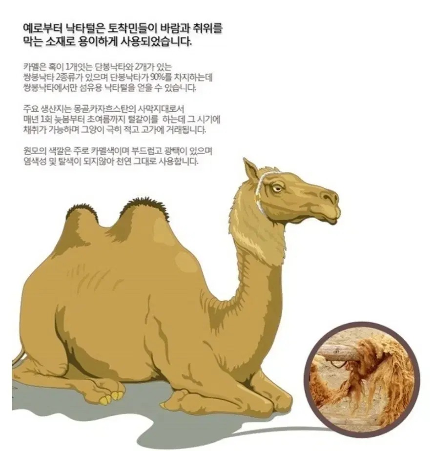 낙타이불정품봄가을이불겨울이불춘추이불g00d